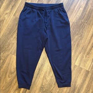 Torrid Super Soft Fleece Joggers